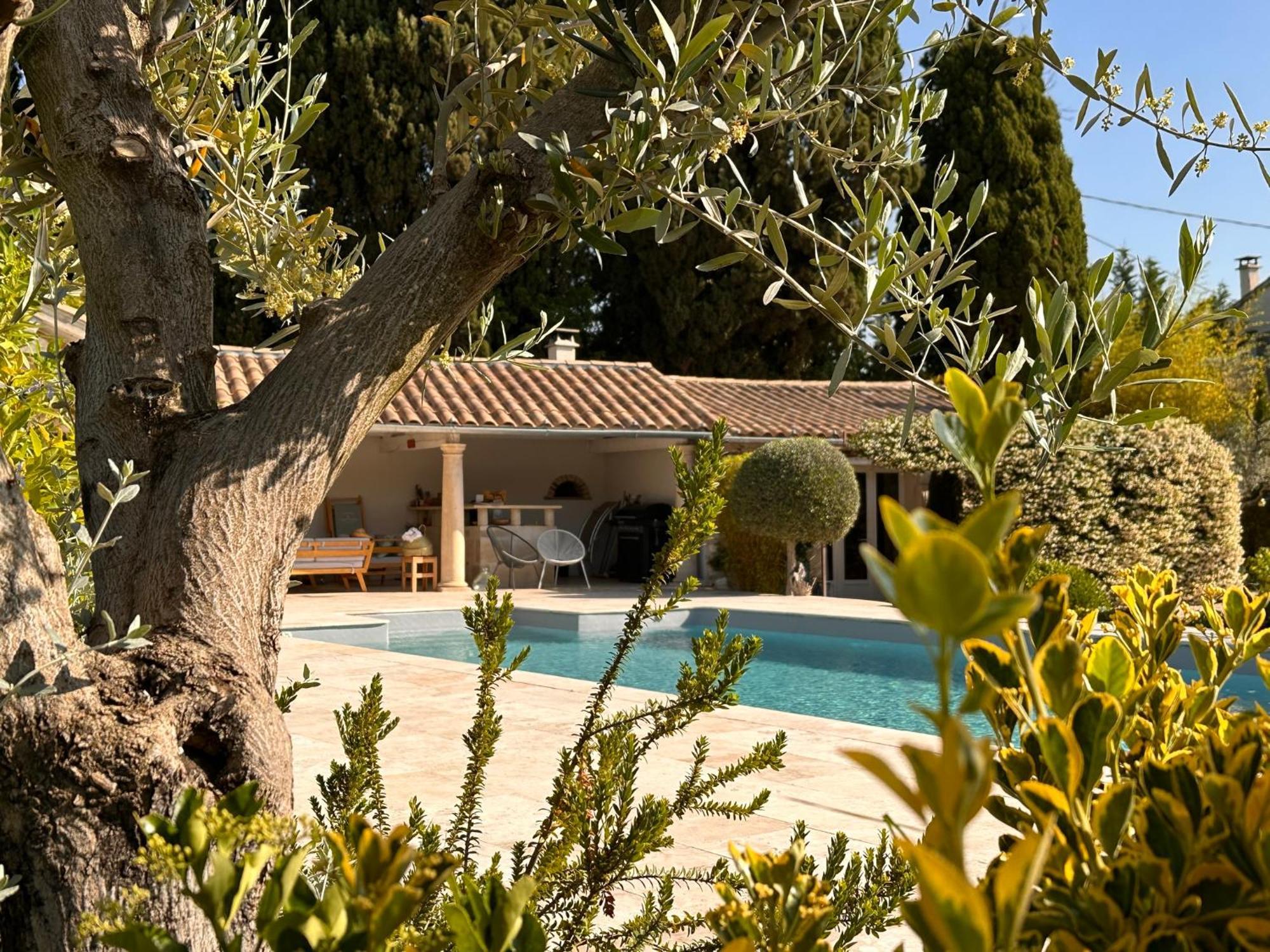 Hotel Mas des Bambous Saint-Rémy-de-Provence Exterior foto