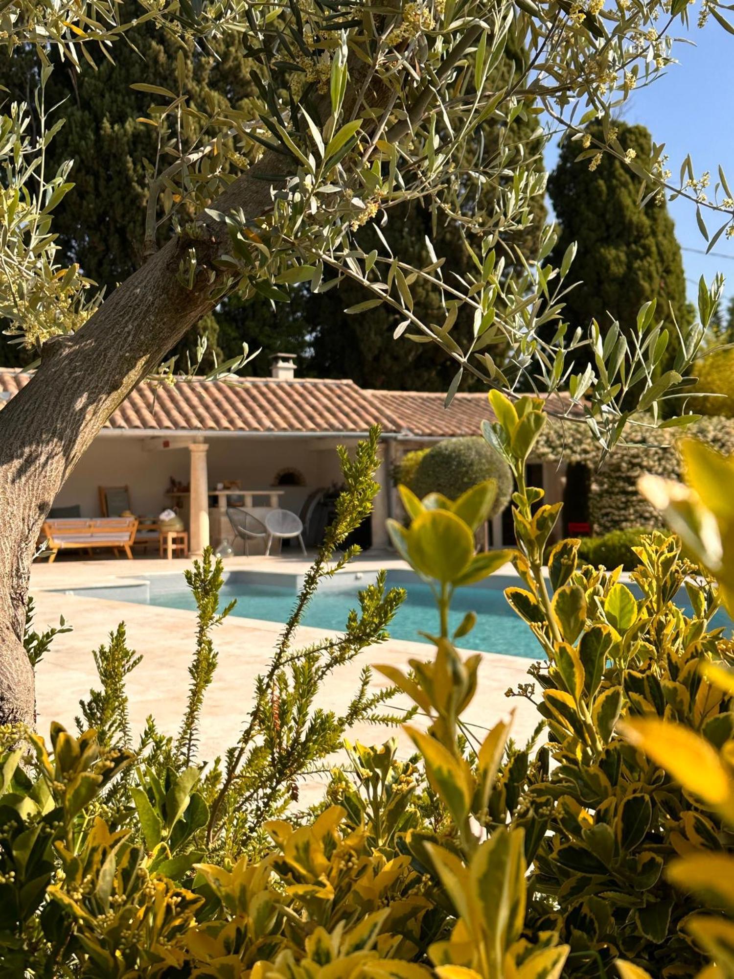 Hotel Mas des Bambous Saint-Rémy-de-Provence Exterior foto